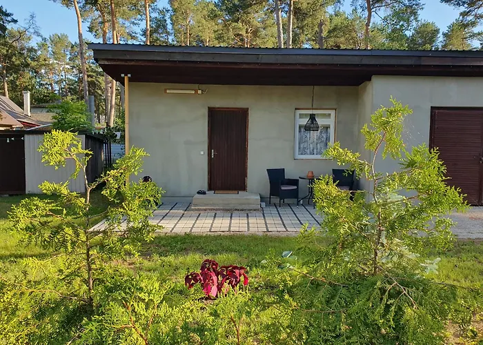 Suvemaja